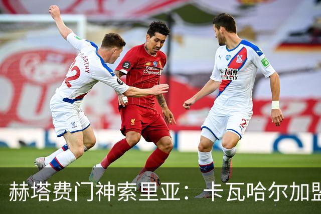 赫塔费门神索里亚：卡瓦哈尔加盟绝对是一场盛宴！